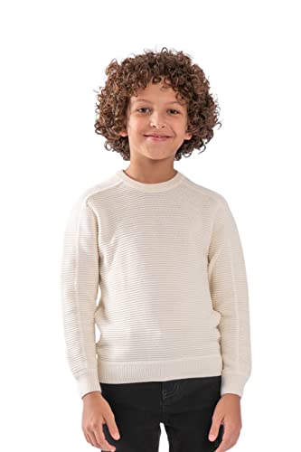 Concrete Boys' Pullover Sweater - C321PL2-W23-88N-1071