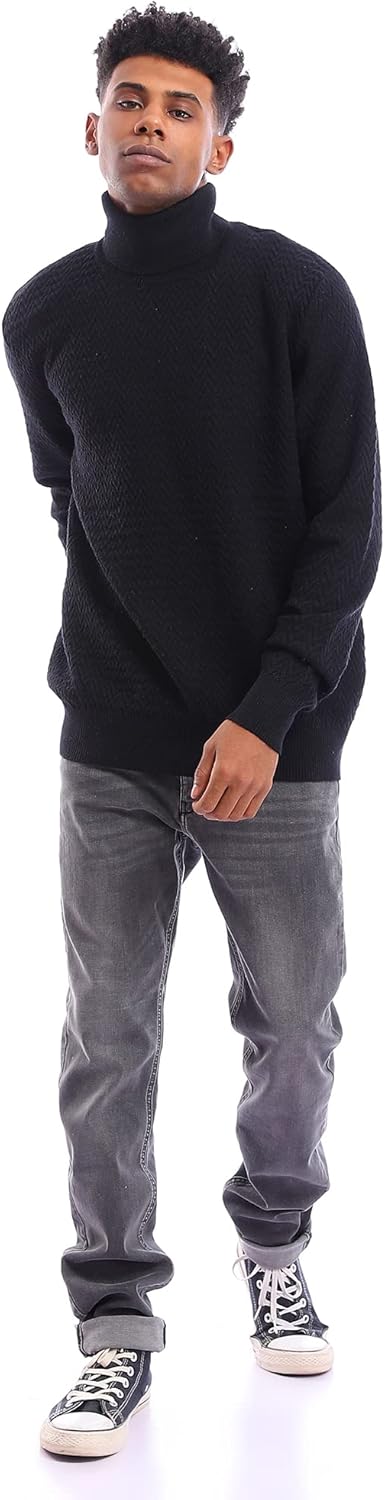 Ravin Men's 96274 Self Chevron Pullover with Turtle Neck Sweater